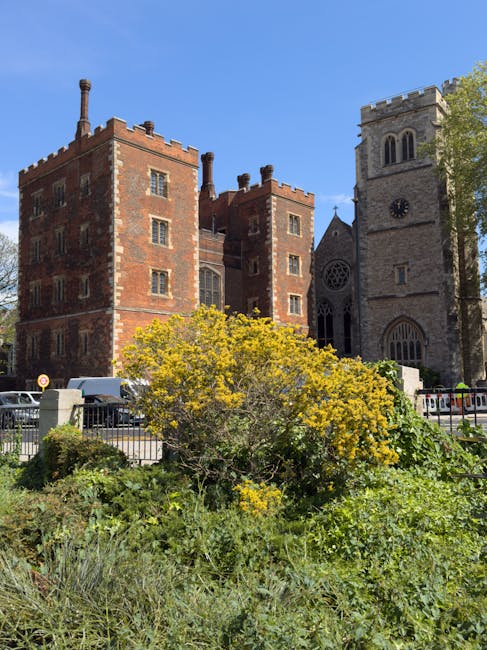 A view of historic brick and stone buildings with Gothic architectural features, including a clock tower and arched windows, behind a low metal fence. In the foreground, there is a lush green shrub with yellow flowers and various other plants, indicating a landscaped outdoor area. The scene is illuminated by bright daylight with a clear blue sky, and parked cars are visible along the street. This setting reflects a typical urban environment where house removal and furniture transport services by Man With a Van Dagenham may occur during home relocation processes around the museum area of Dagenham.